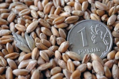 Как вы можете зарабатывать на зерне Как вы можете зарабатывать на зерне